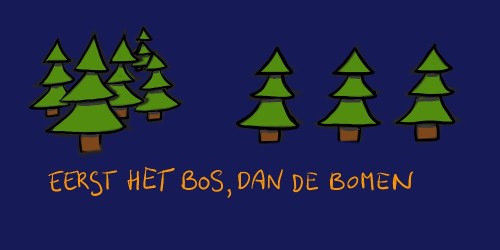 Eerst het bos dan de bomen